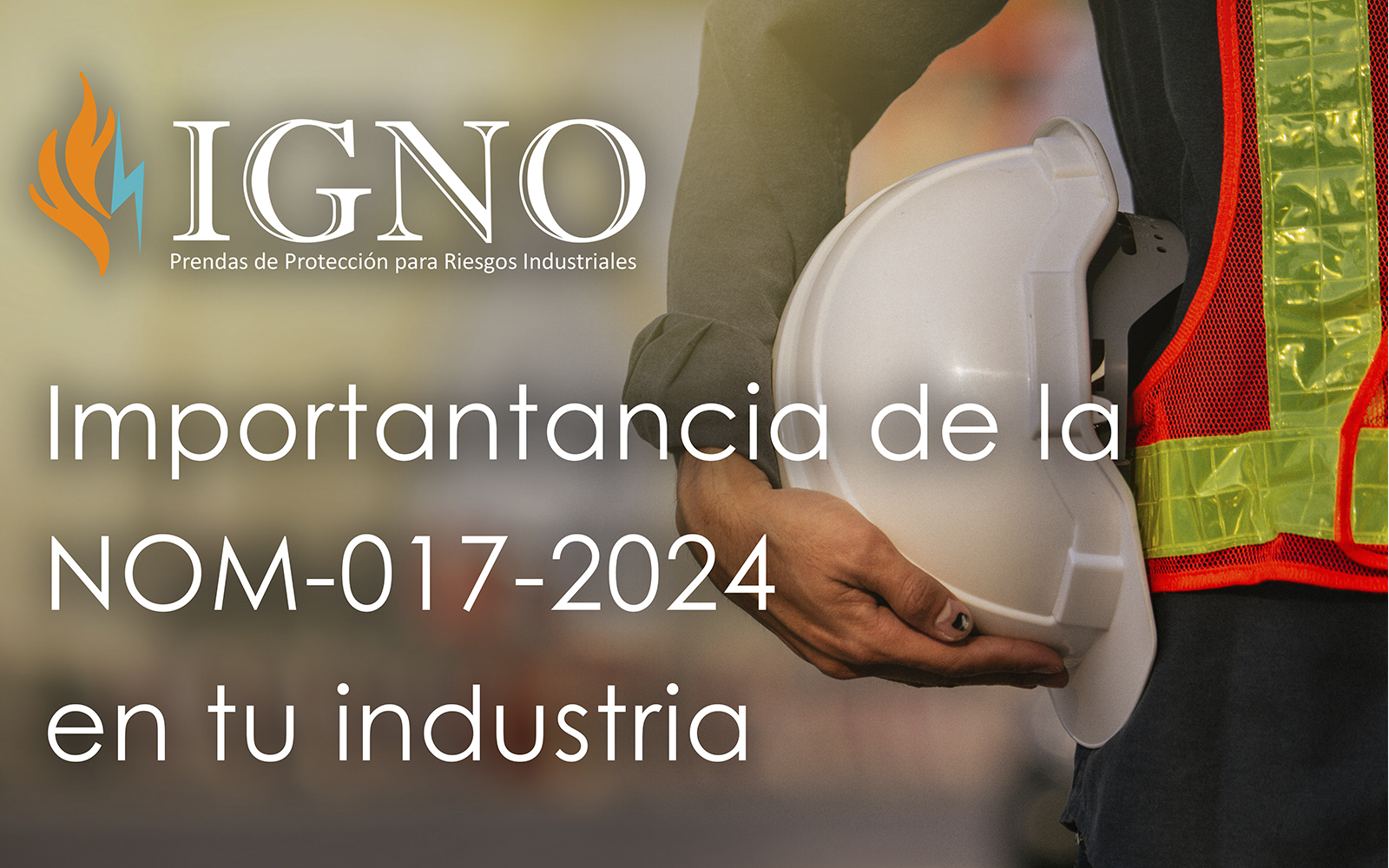 ¿Por que es importante la NOM?